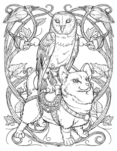 corgiBirdsImage