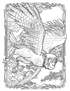 hawkneyImage