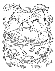 pelicanFoxImage