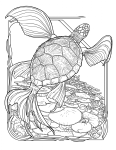 turtleFishImage