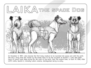 Laika_3x4Ratio